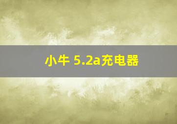 小牛 5.2a充电器